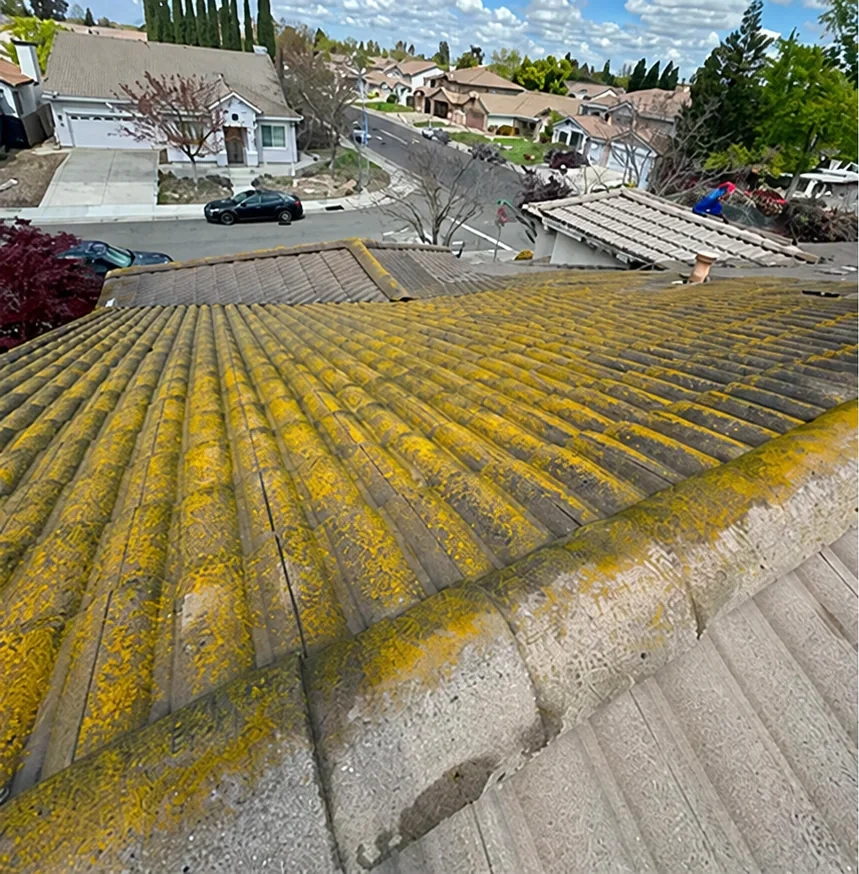 Roof covered with moss before washing